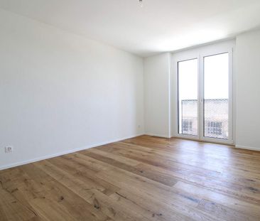 2.5 Zimmer, 55 m², 1. Stock - Photo 1