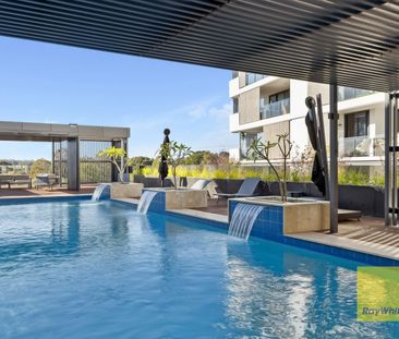 G4/1 Seymour Avenue, Shenton Park WA 6008 - Apartment For Rent | Do... - Photo 4
