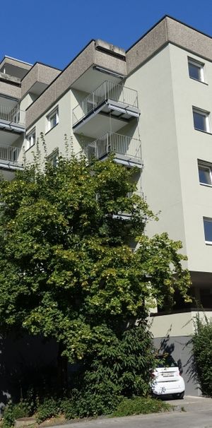 1-Zimmerwohnung in Stadtnähe! - Photo 1