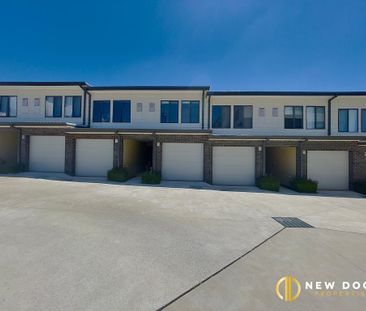 9/12 Dulcie Holland, Moncrieff ACT 2914 - Townhouse For Rent | Domain - Photo 2