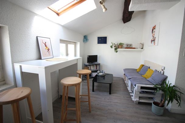 Location Appartement 1 pièce 24m² LIMOGES 87000 - Photo 1