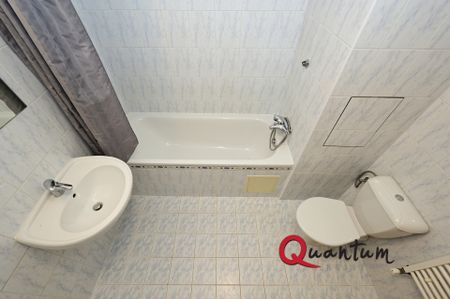 Pronájem bytu 1+kk a garsoniéry 46 m² - Fotografie 4