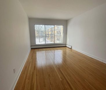 1 CH - 1 SDB - Montréal - $1,300 /mo - Photo 3