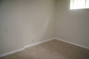 $950 / 1br – 920ft2 – Spacious 1 Br Bsmt Suite in Port Moody (Port Moody) - Photo 3