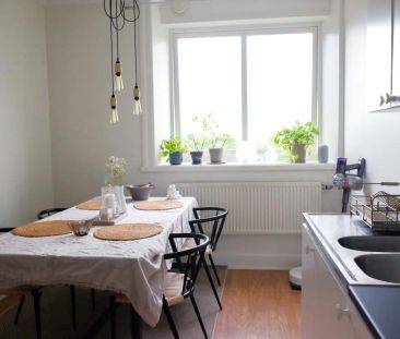 Stor mysig etta i bottenplan - Foto 6