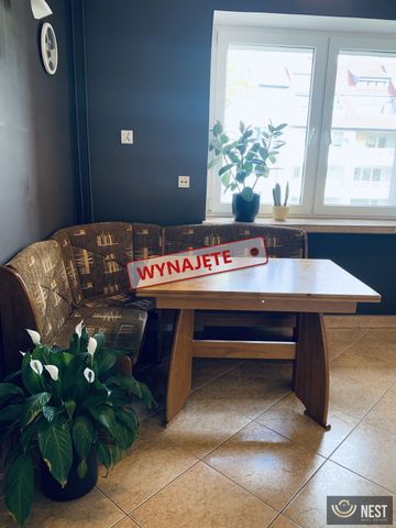 Trzypokojowe mieszkanie do wynajęcia ! - Zdjęcie 3