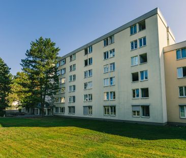 Möbliertes Studentenzimmer in Mannheim! - Photo 1