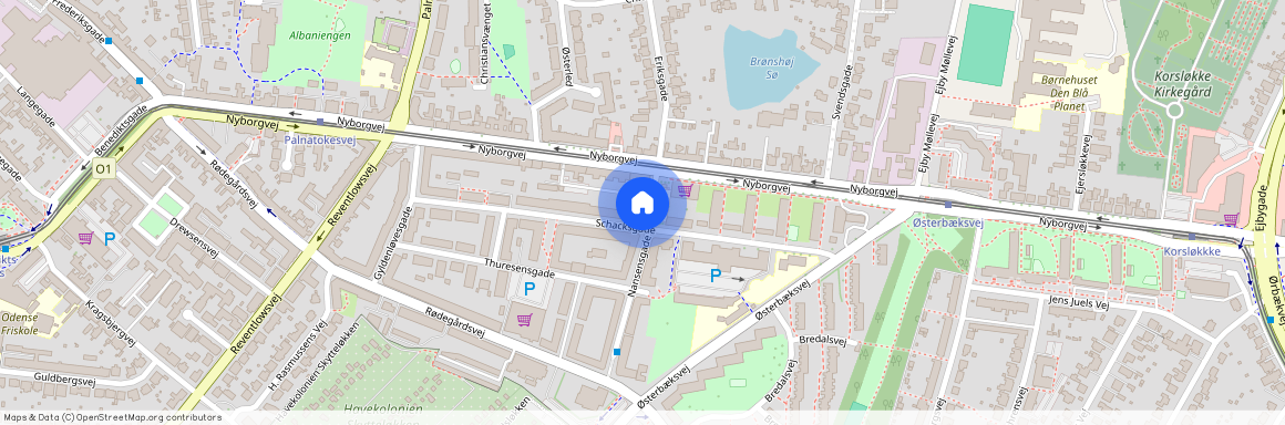 Nansensgade 5, st. tv., 5000 Odense C