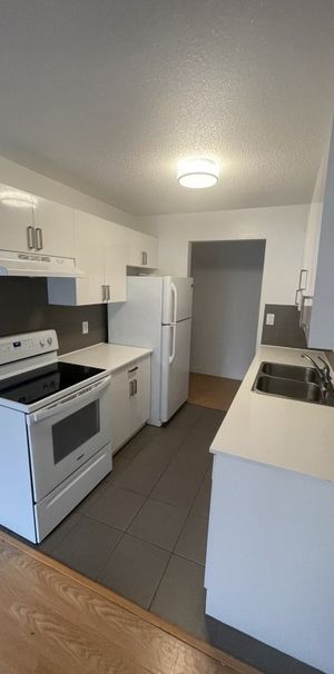 Blueridge Apartments - Photo 1