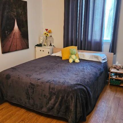 3 1/2 chauffé éclairé 1er Juillet, UQAR, CFP Lévis centre-ville - Photo 3