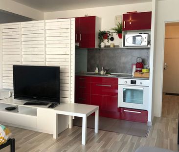 Location Appartement 1 pièce 31m² CHAMBRAY LES TOURS 37170 - Photo 5