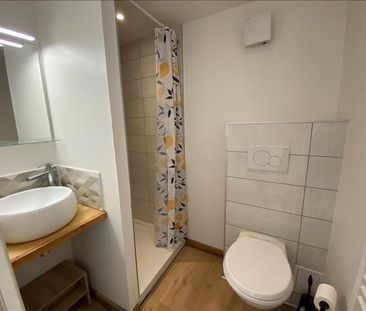 1 pièce - Meublé - 16,42 m² - RDC - Colocation non autorisée - Photo 5