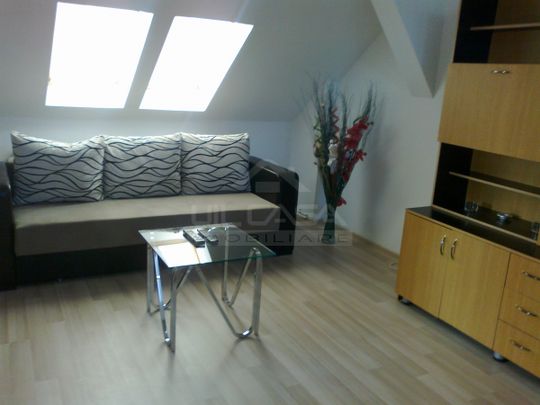 Apartament 3CSD, Copou, la vila - Fotografie 1