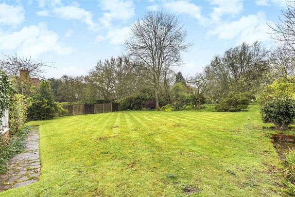 A recently refurbished 5 bedroom cottage available to rent in this wonderful rural setting at Pamber End, between Reading and Basingstoke. - Photo 1