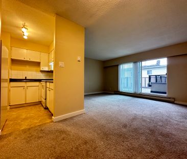 1 Bedroom With Storage & Patio – Prime New Westminster Location - Photo 4