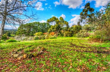 Basket Range - Photo 4