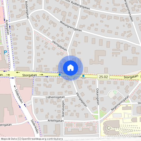 Vikingagatan, Växjö