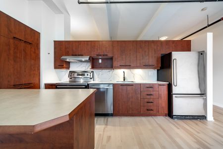 50 Rue des Soeurs-Grises #504, Montréal (Ville-Marie), H3C5P1 - Photo 5