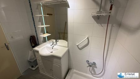Location Appartement 1 pièce 28m² THIONVILLE 57100 - Photo 4