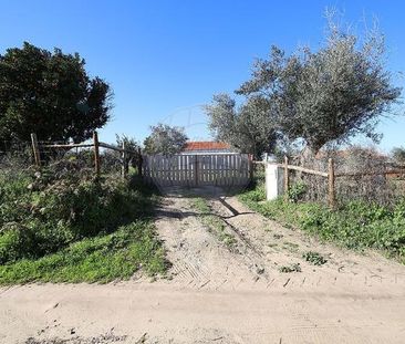 Moradia T2 em Santarém - Photo 6