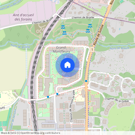 1290, Versoix, Grand-Montfleury