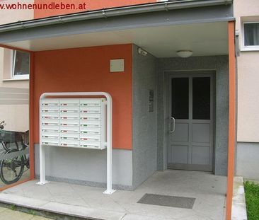 Toplage neben der Kepleruniversität - WG tauglich!! - Photo 2