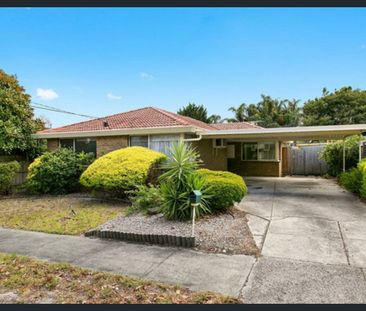 Refined Single Level Living - Photo 5