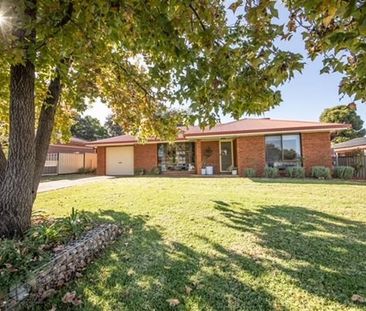 6 Massie Street, Dubbo NSW 2830 - House For Rent | Domain - Photo 6