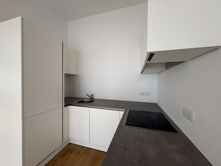 Wohnen und entspannen: 2 Zimmer mit idyllischer Terrasse mit hervorragender Anbindung | top Lage - Photo 2