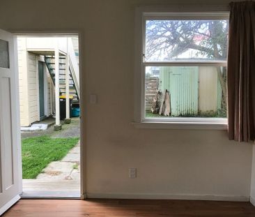 Large 1 bedroom house in Mt Vic - Photo 2