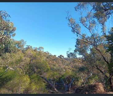 9 View Road, Blackwood, SA 5051 - Photo 6