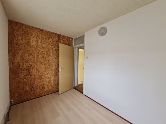 Te huur: Kamer Meijhorst 5049 02 in Nijmegen - Photo 1