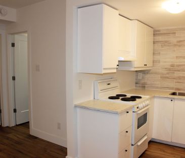 For Lease - 846 Alpine Avenue, Britannia Heights - Queensway Terrac... - Photo 4