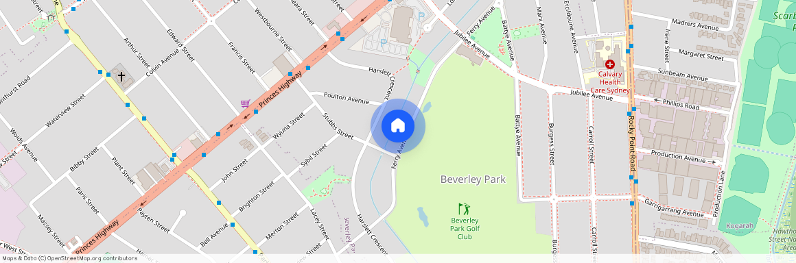 42 Ferry Avenue, NSW 2217, Beverley Park