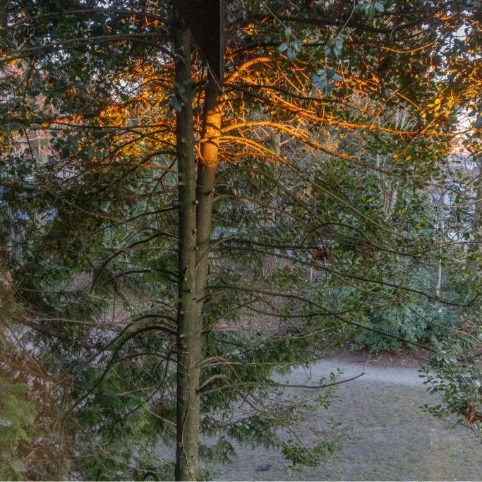 2-328 2nd Street East, North Vancouver - Photo 1