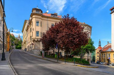 Kiadó felújított lakás - Budapest I. kerület - Photo 5