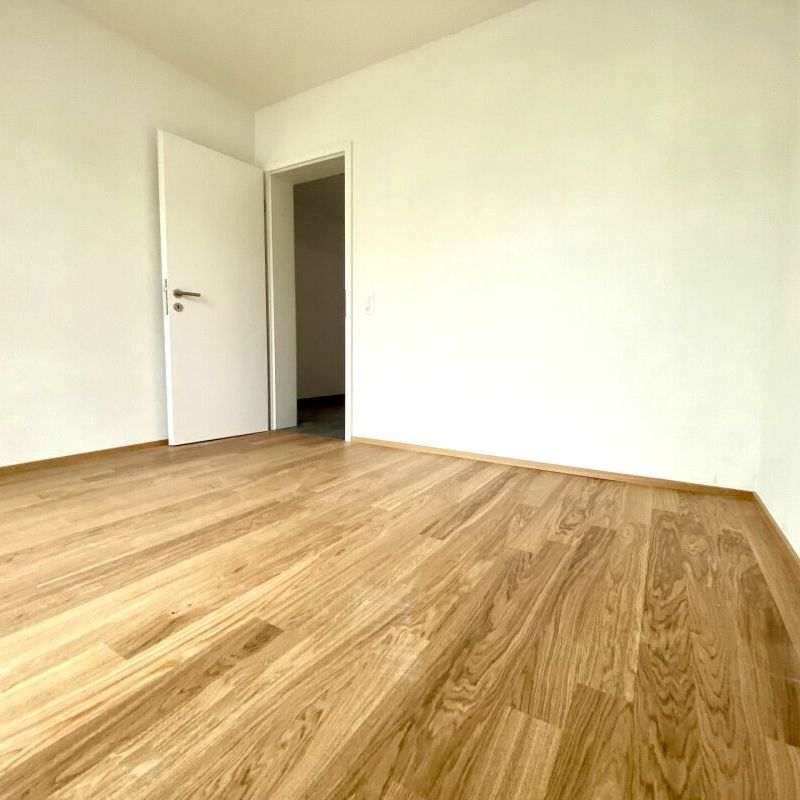 Attraktive 2.5 Zimmerwohnung im Kannenfeldquartier - Foto 1