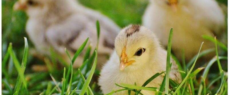 PERFEKT für Singles & Pärchen: Wohnidylle mit EBK, Balkon & Fußbodenheizung! - Photo 1
