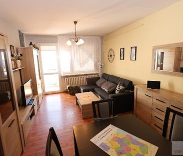 Mieszkanie Kraków Dębniki powierzchnia 65.0 m² C382-WM-89622 - Photo 2