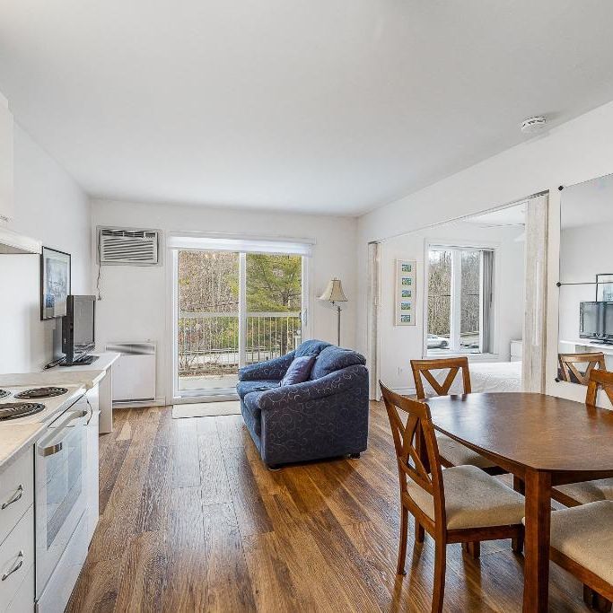 Petit condo/appart studio à Sutton tout inclus location annuelle - Photo 1