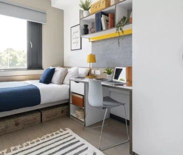 Premium Studio - Photo 5