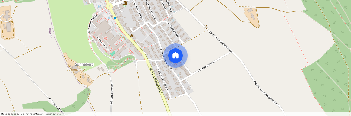 Hasenbergstrasse 41, 5454 Bellikon