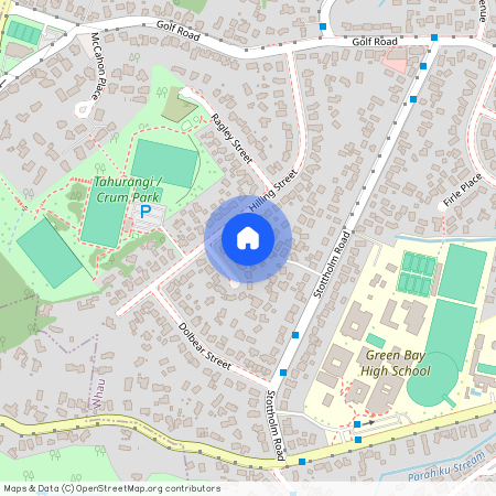 55 Hilling Street, Green Bay, Waitakere City