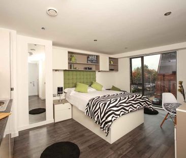 Premium Studio (Access) - Photo 3