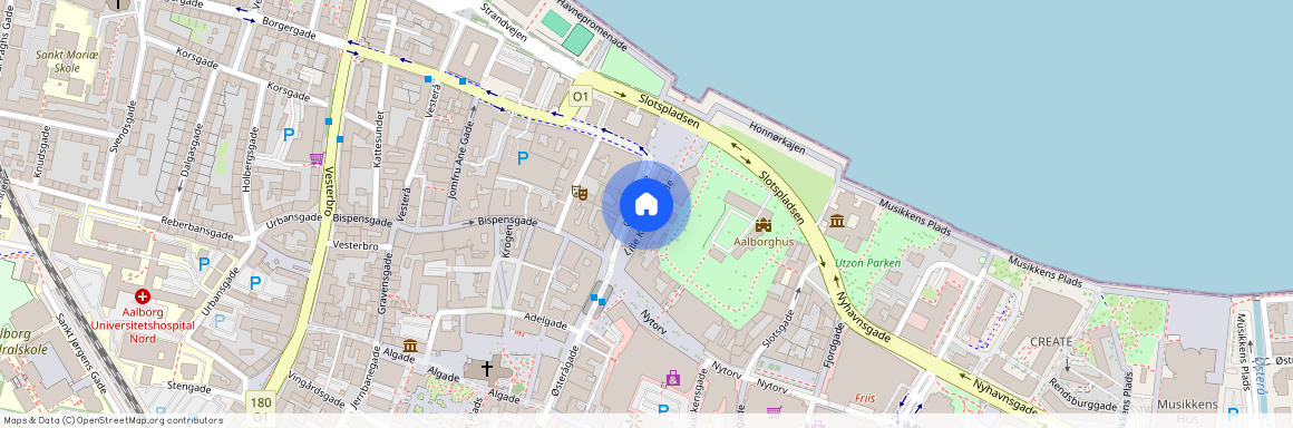 Lille Kongensgade 10 3. lejl. 3 9000 Aalborg