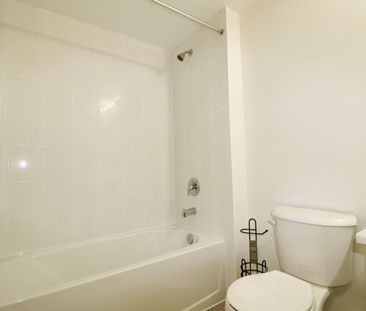 For Lease - 40 Valleybrook Road Unit# LOWER, Barrie, Ontario - Photo 4