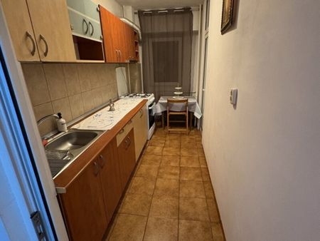 Muncii campia libertatii nicolae licaret - Photo 2