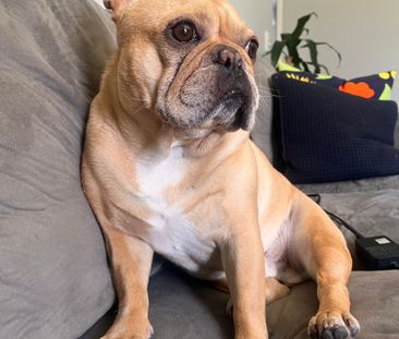 Burleigh Waters - Photo 2