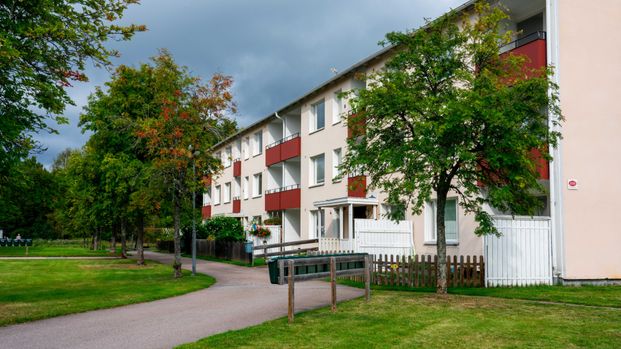 Mossebogatan, Sommen - Photo 1