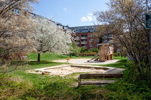 - Wohnung mit Parkett und Balkon - grüner Innenhof - Photo 1